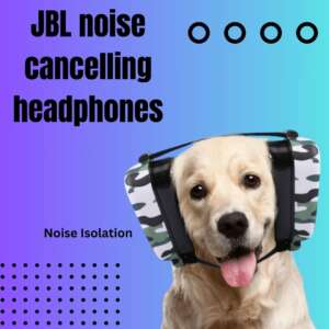 JBL noise cancelling headphones