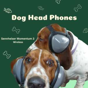 dog head phones