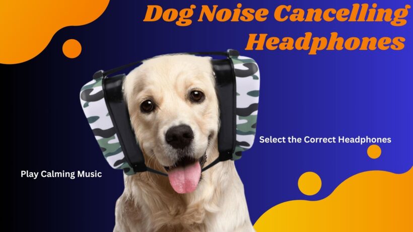Dog Noise Cancelling Headphones