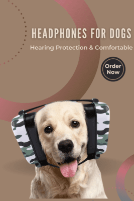 Headphones for Dogs