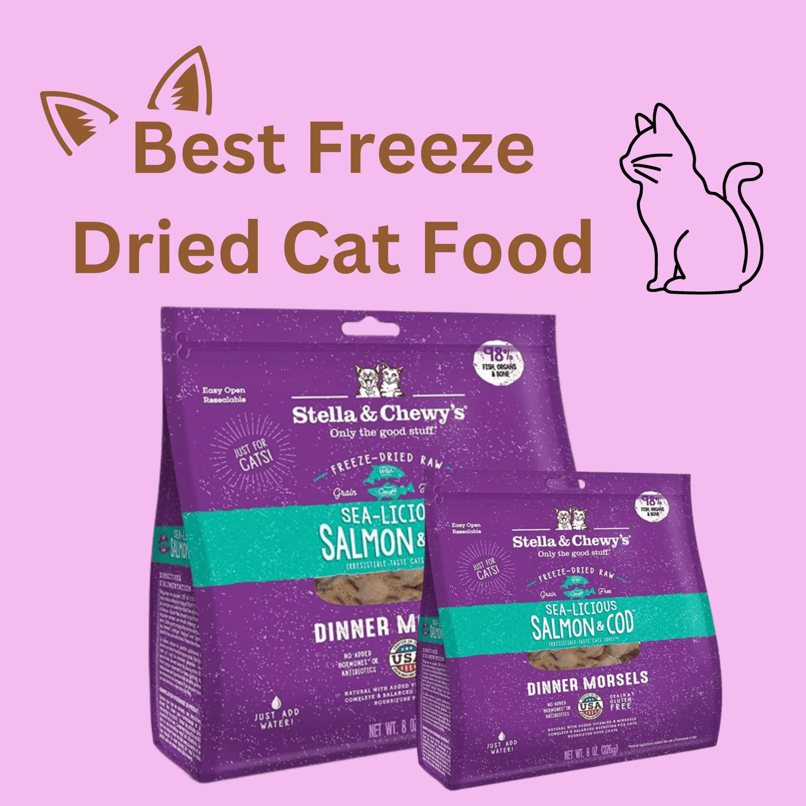 freeze dried cat food