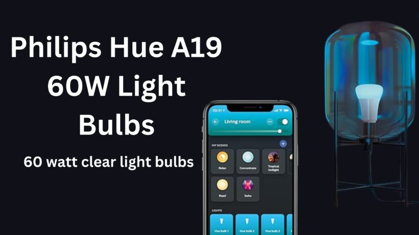 60W Light Bulbs 1