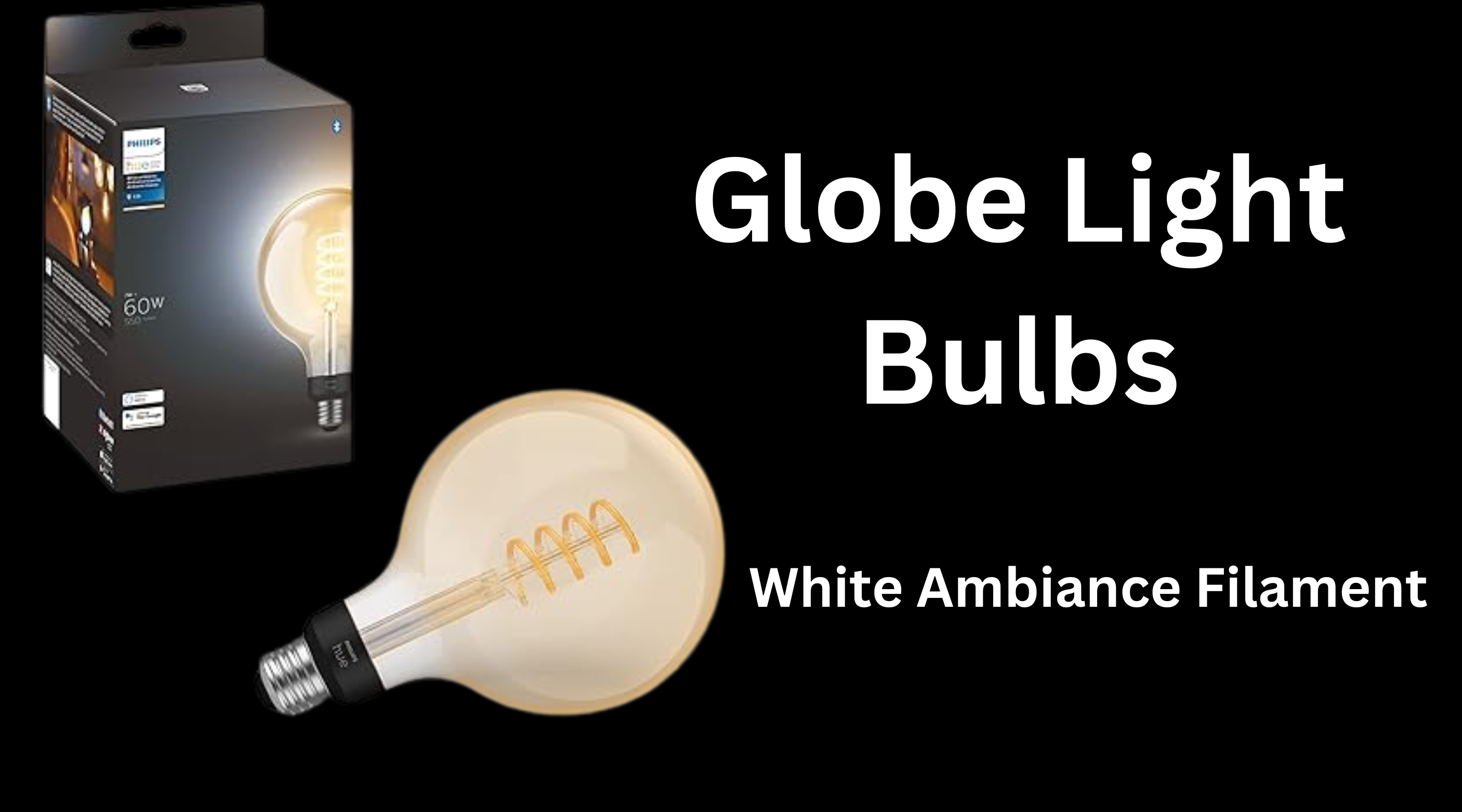 Globe Light Bulbs