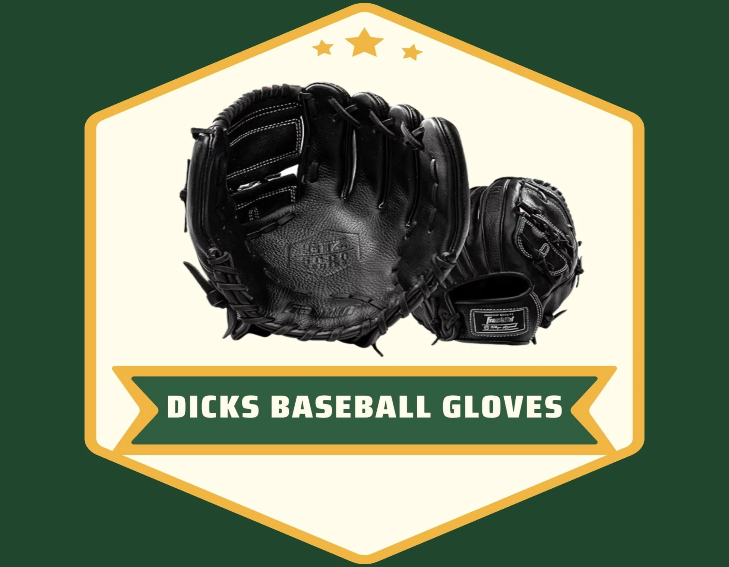 Dicks Baseball Gloves