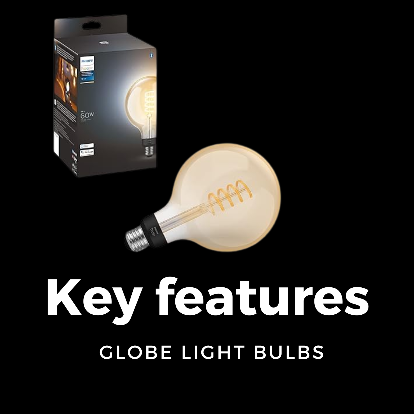 Globe Light Bulbs 2