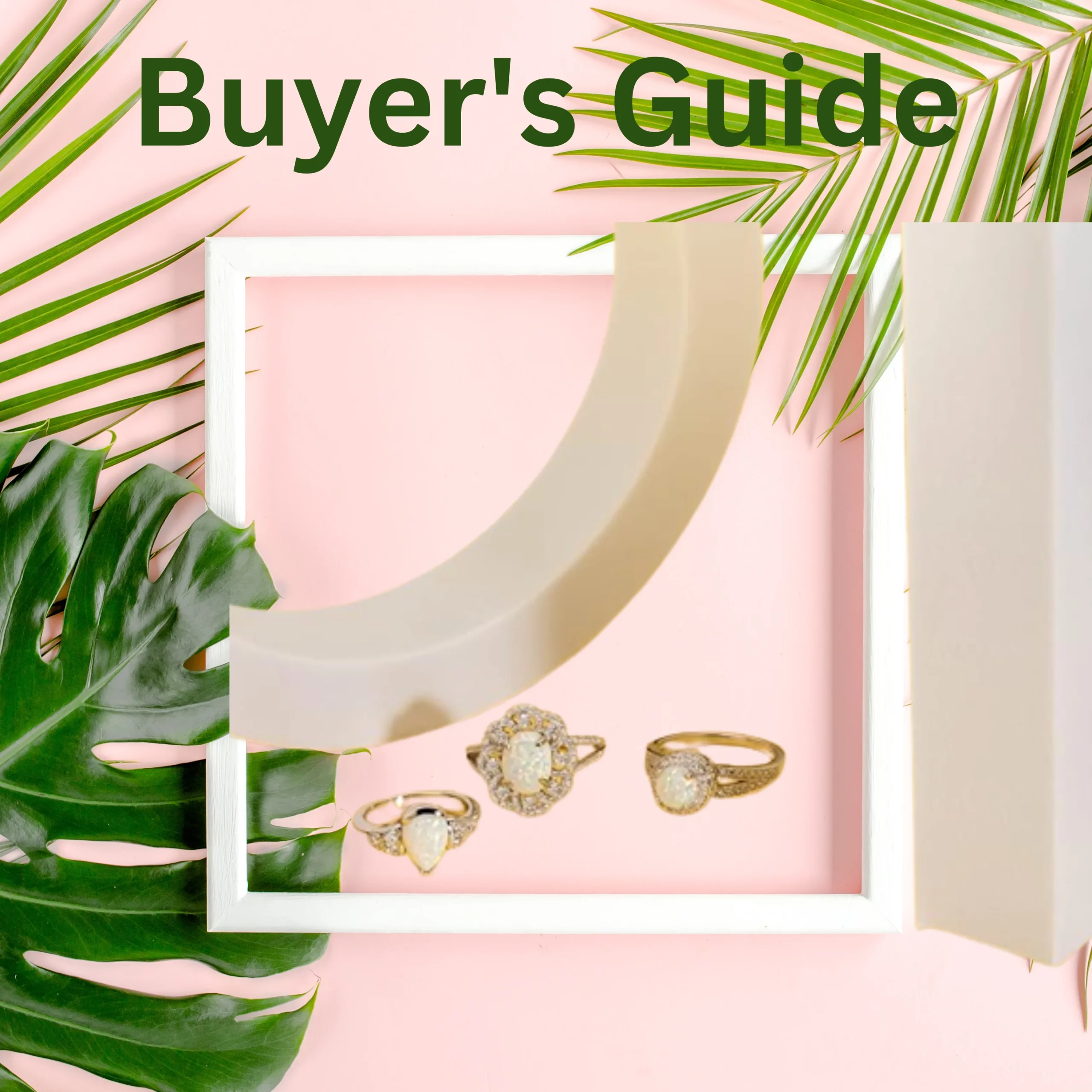 Buyer's Guide