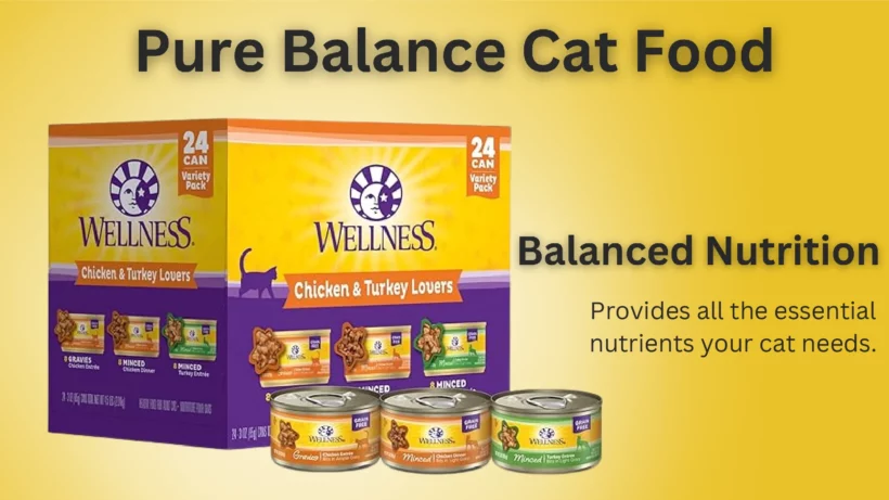 Pure Balance Cat Food