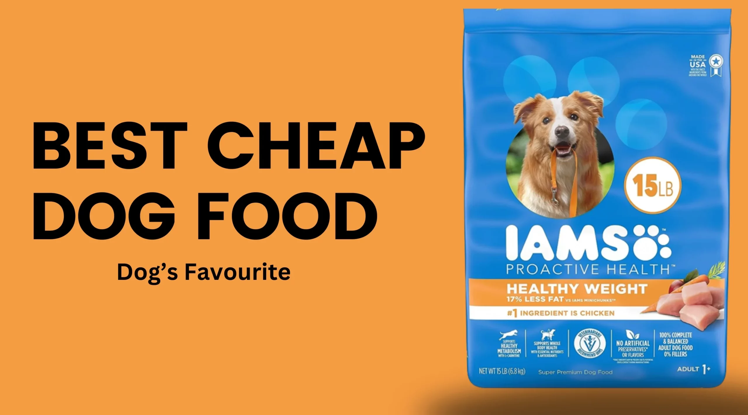 best cheap dog food