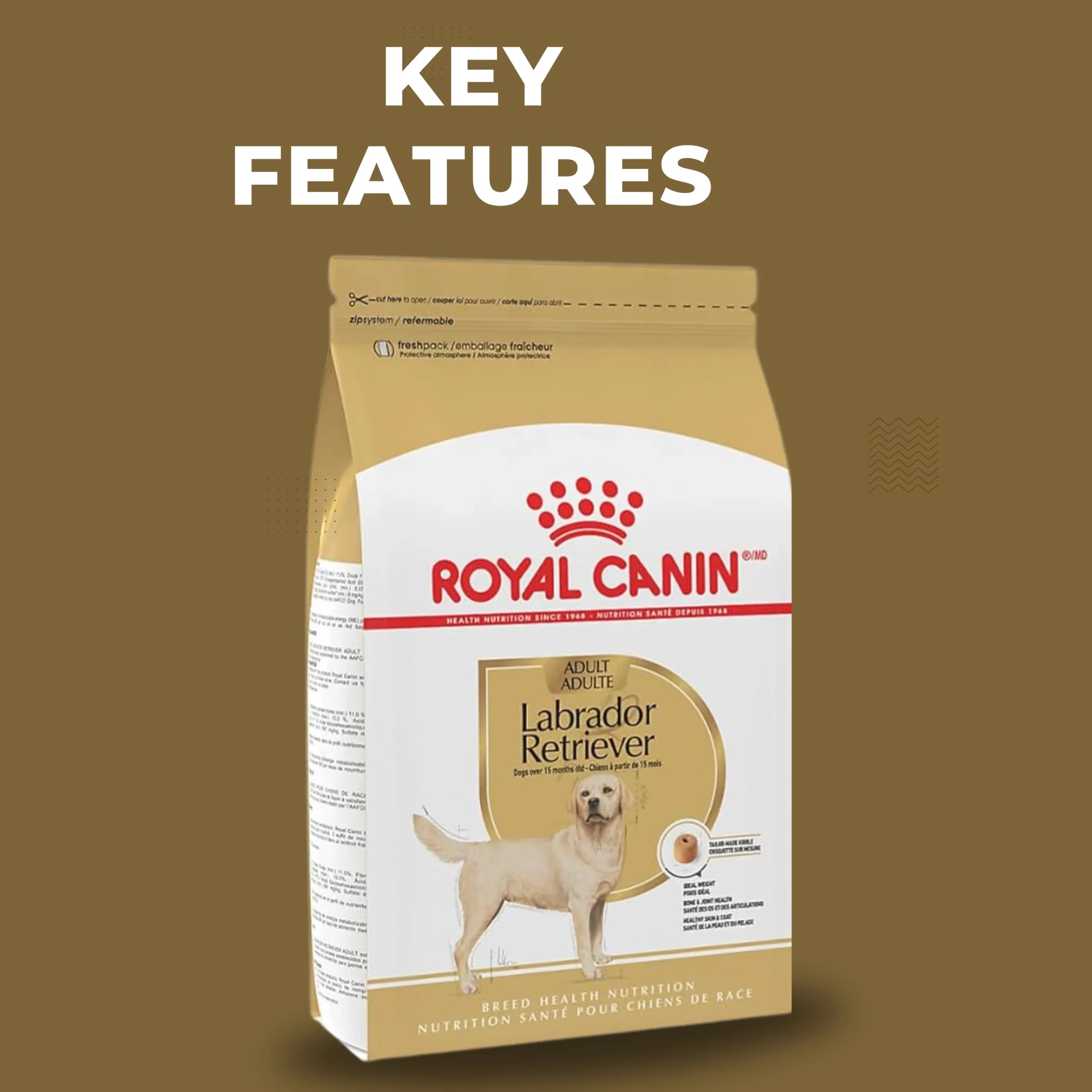 best affordable dog food for labs 