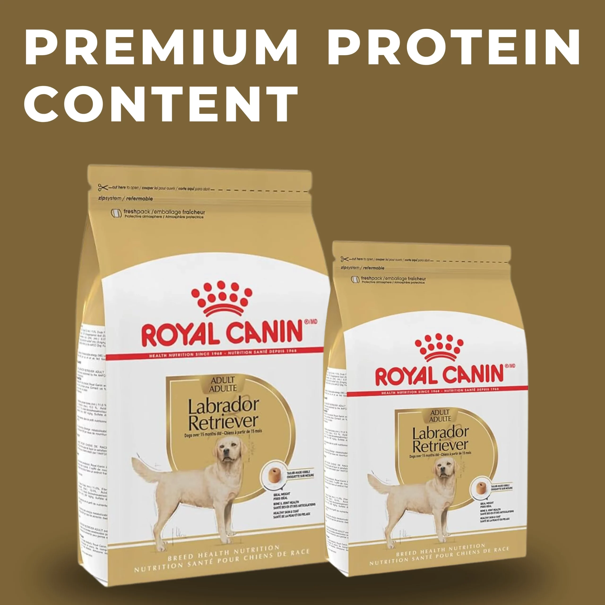 best diet dog food for labs 