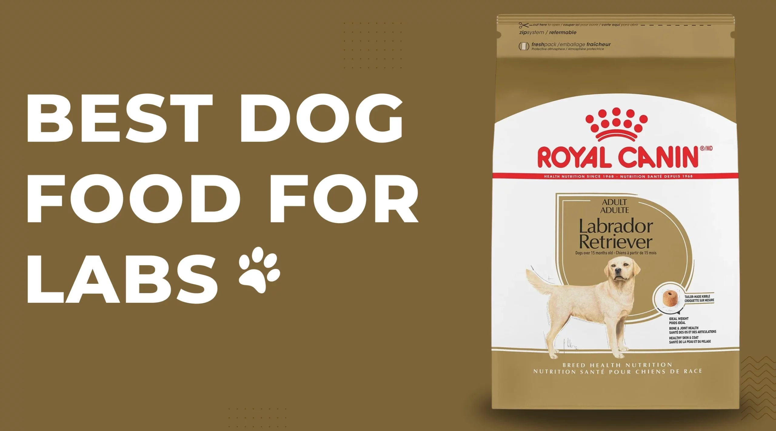 best dog food for labs