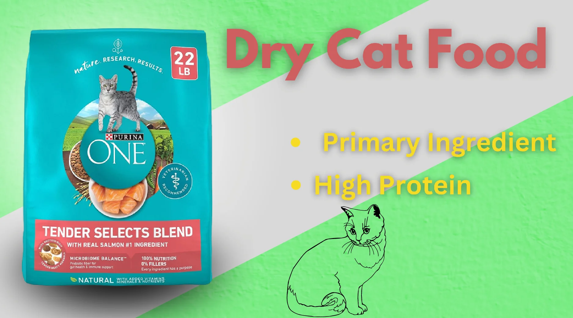 dry cat food