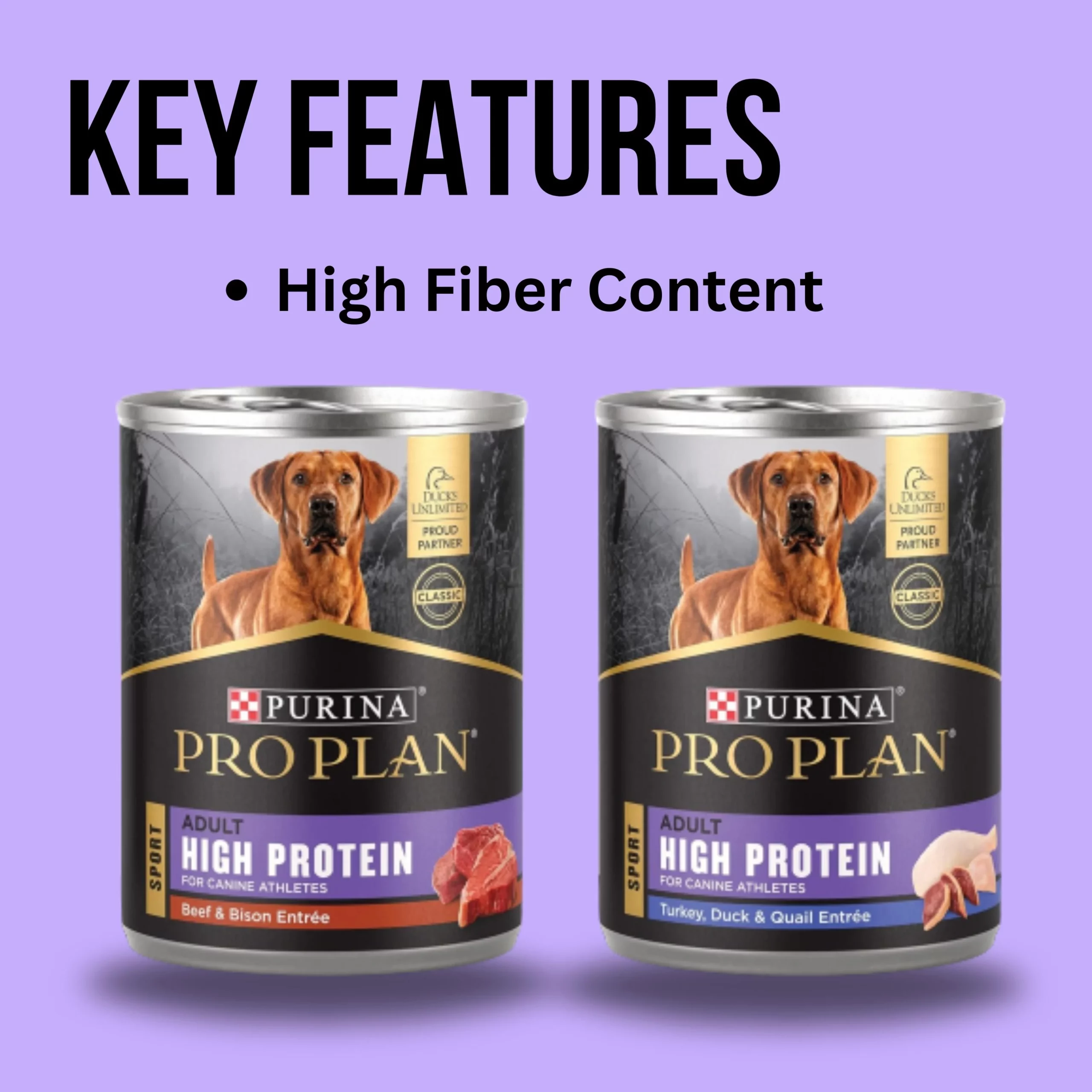 high fiber foods for dogs