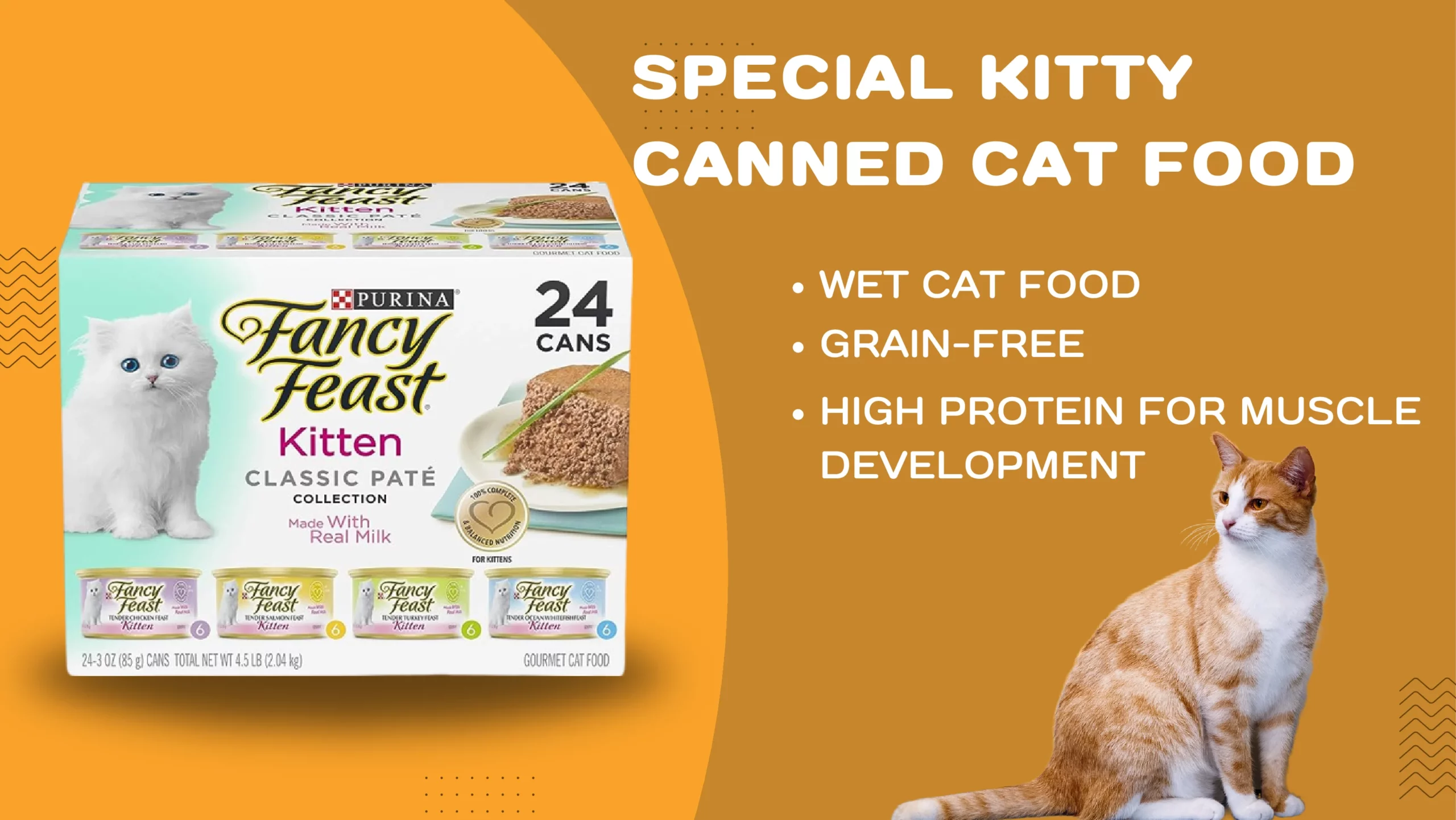 special kitty canned cat food