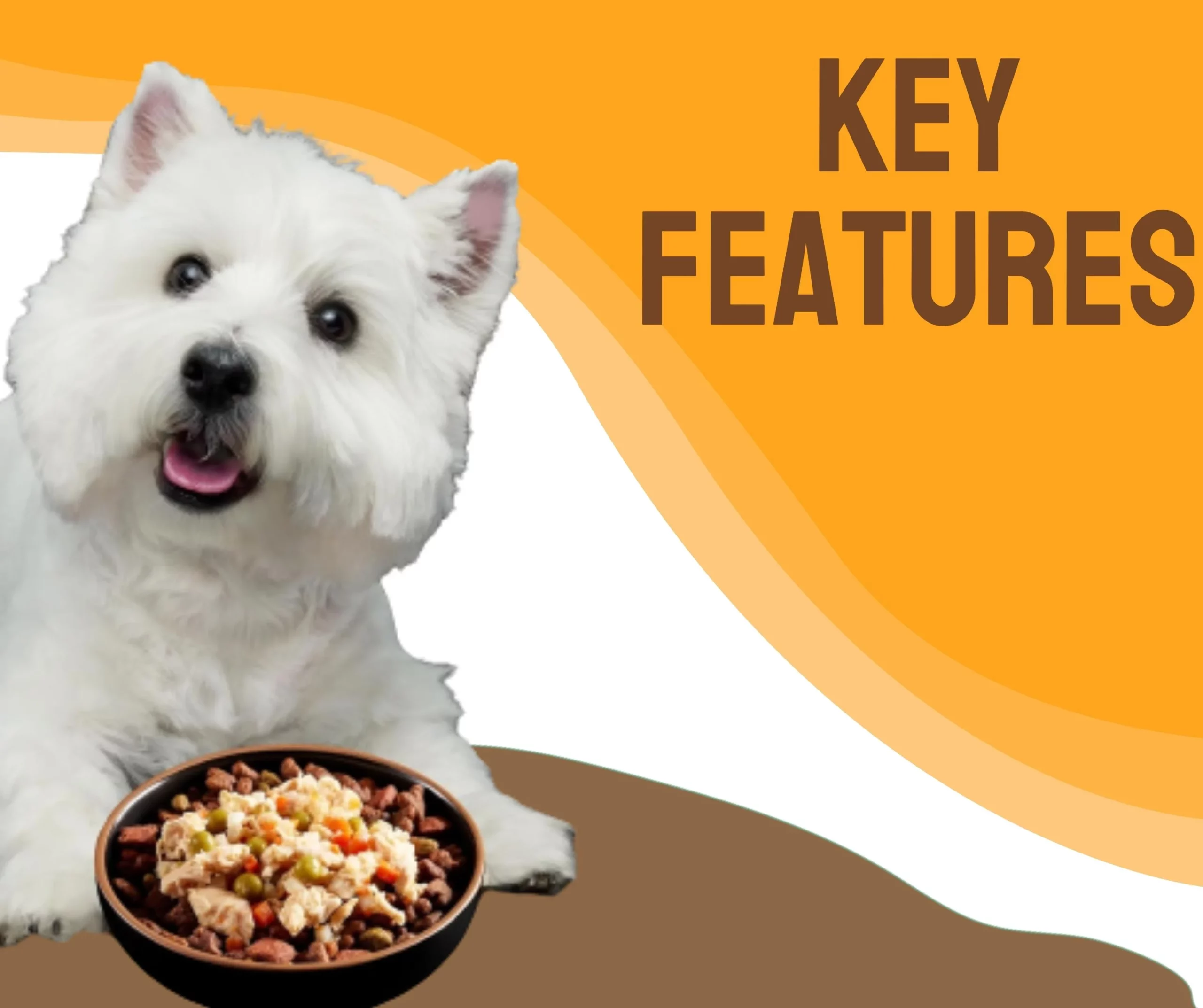 simply nourish dog food reviews 