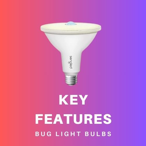 bug zapper light bulb