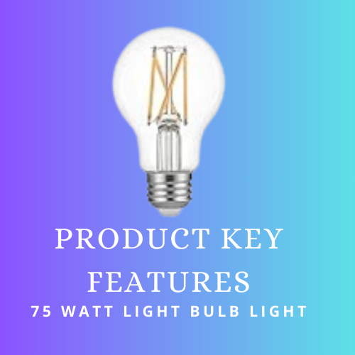 75 watt incandescent light bulbs 