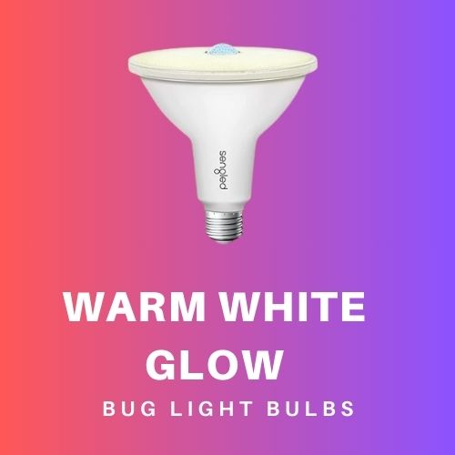  light bulbs for bugs