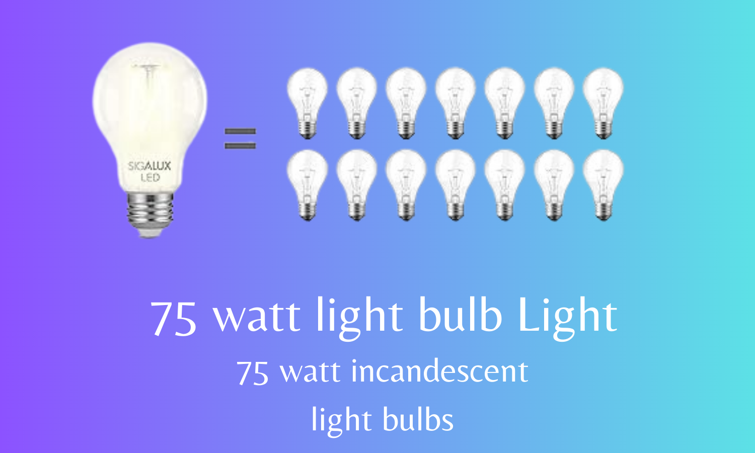 75 watt light bulb