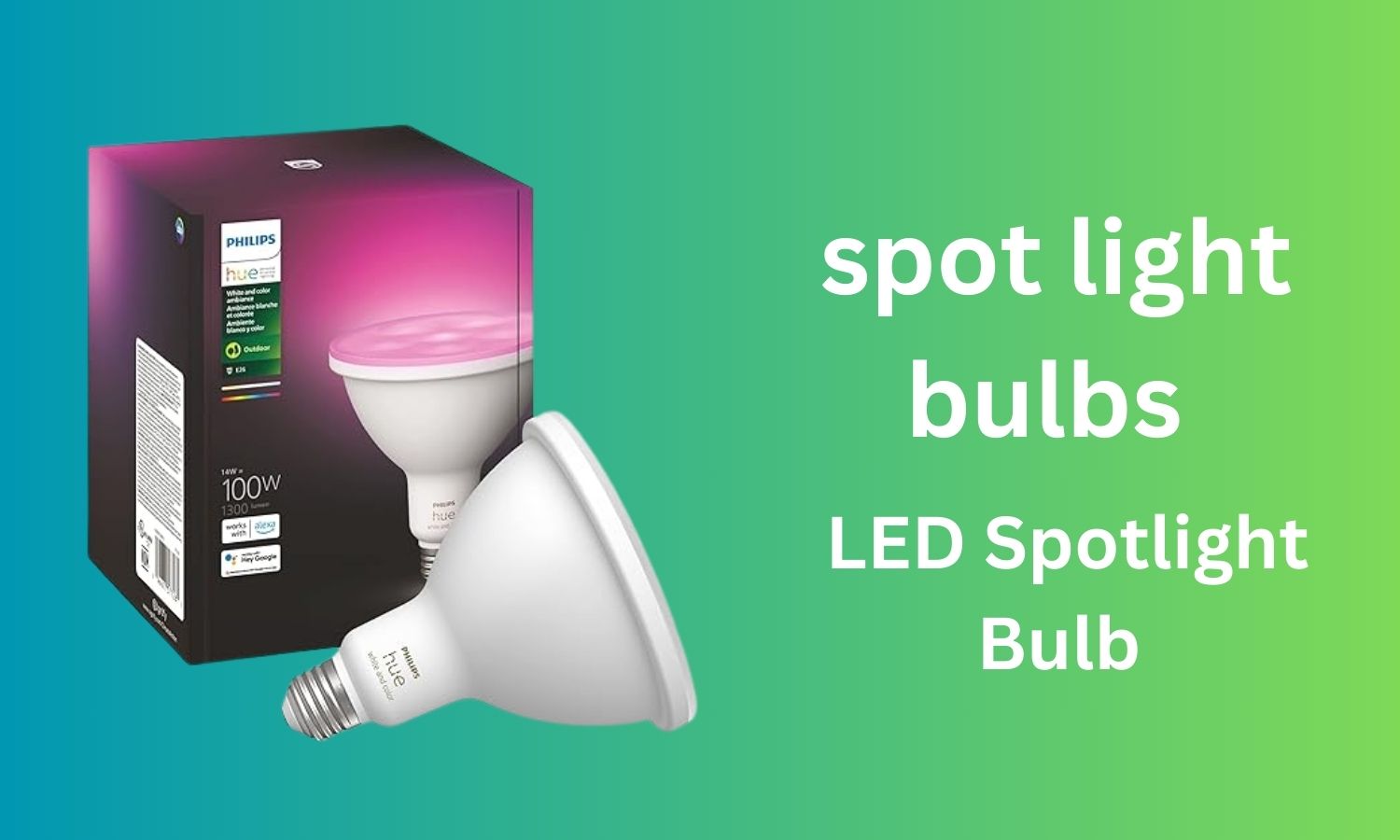 spot light bulbs