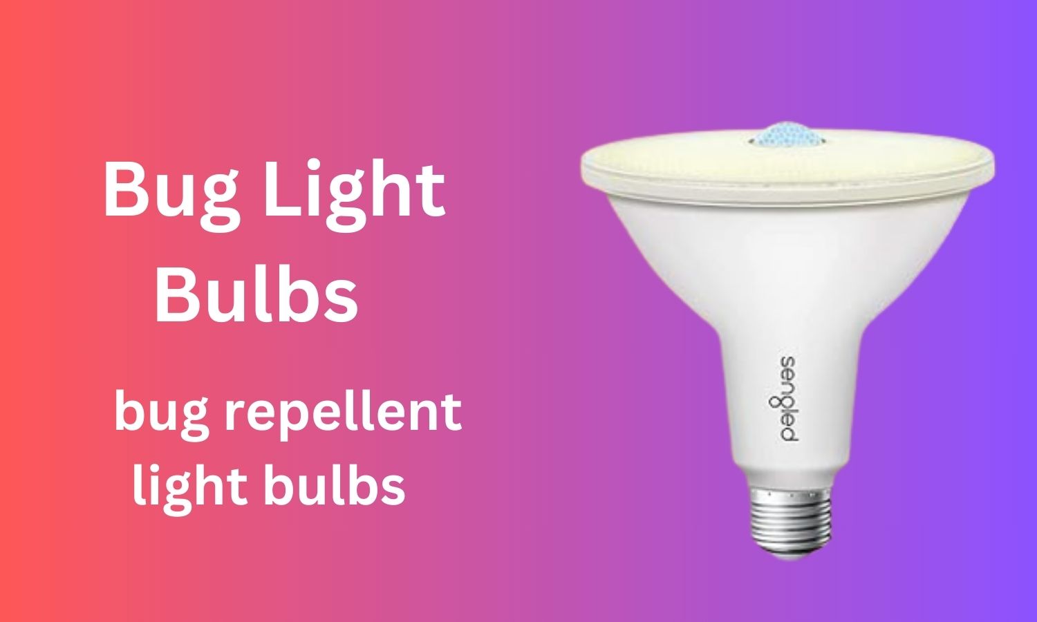 bug light bulbs