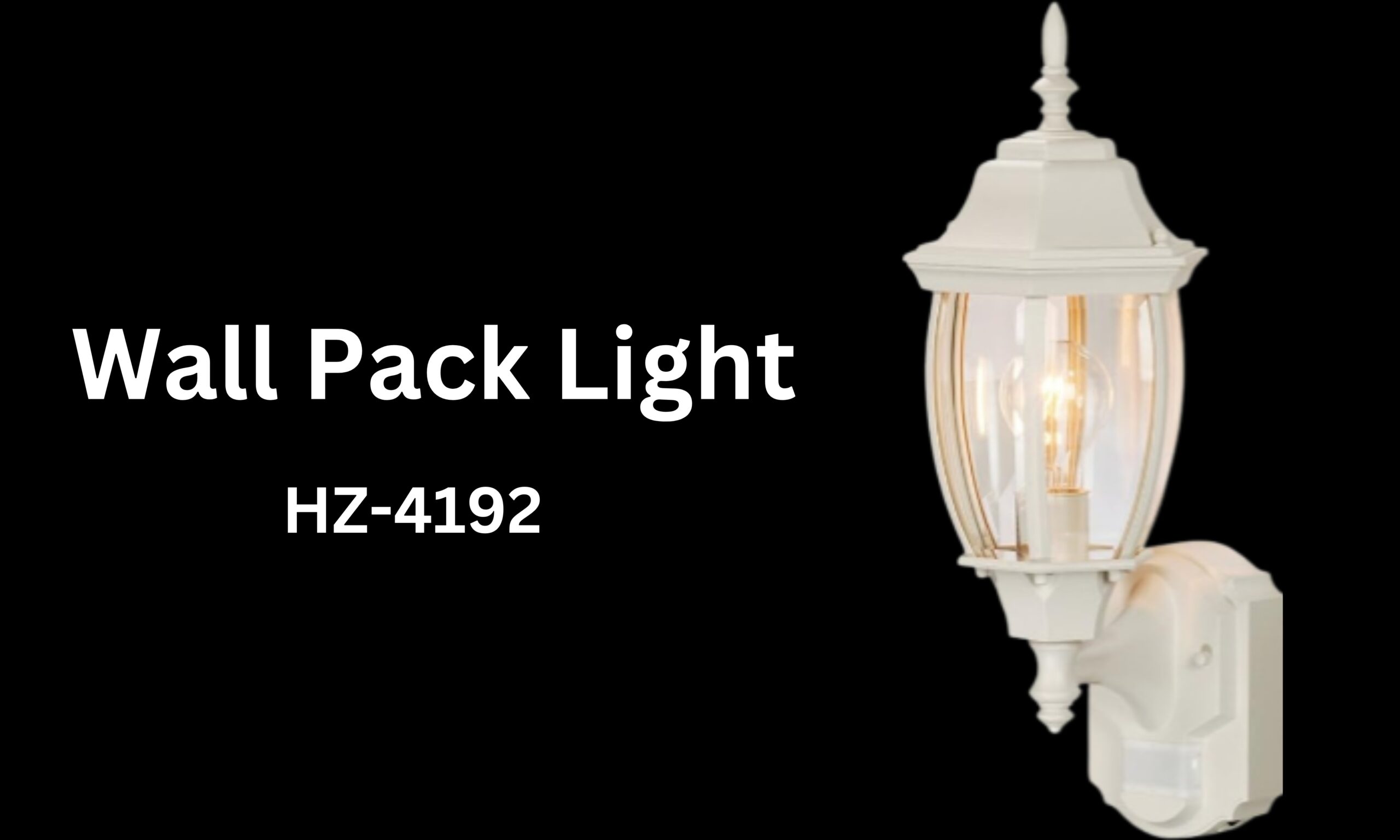 Wall Pack Light