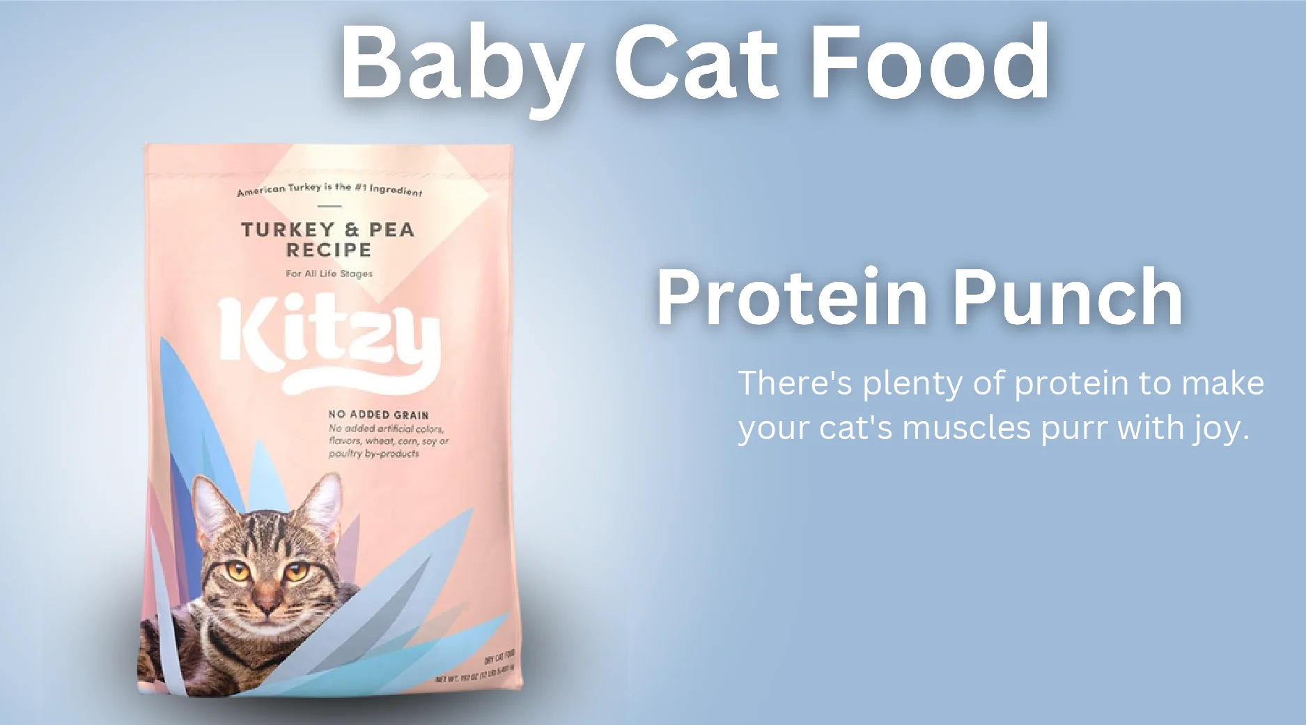 Baby Cat Food