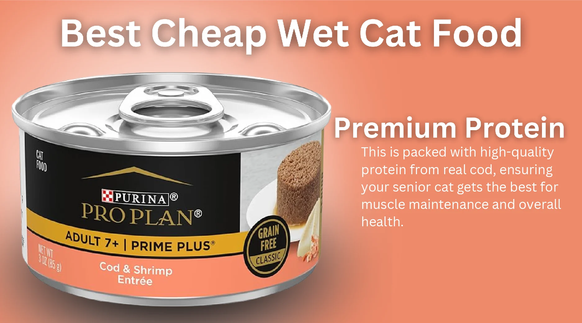 Best Cheap Wet Cat Food