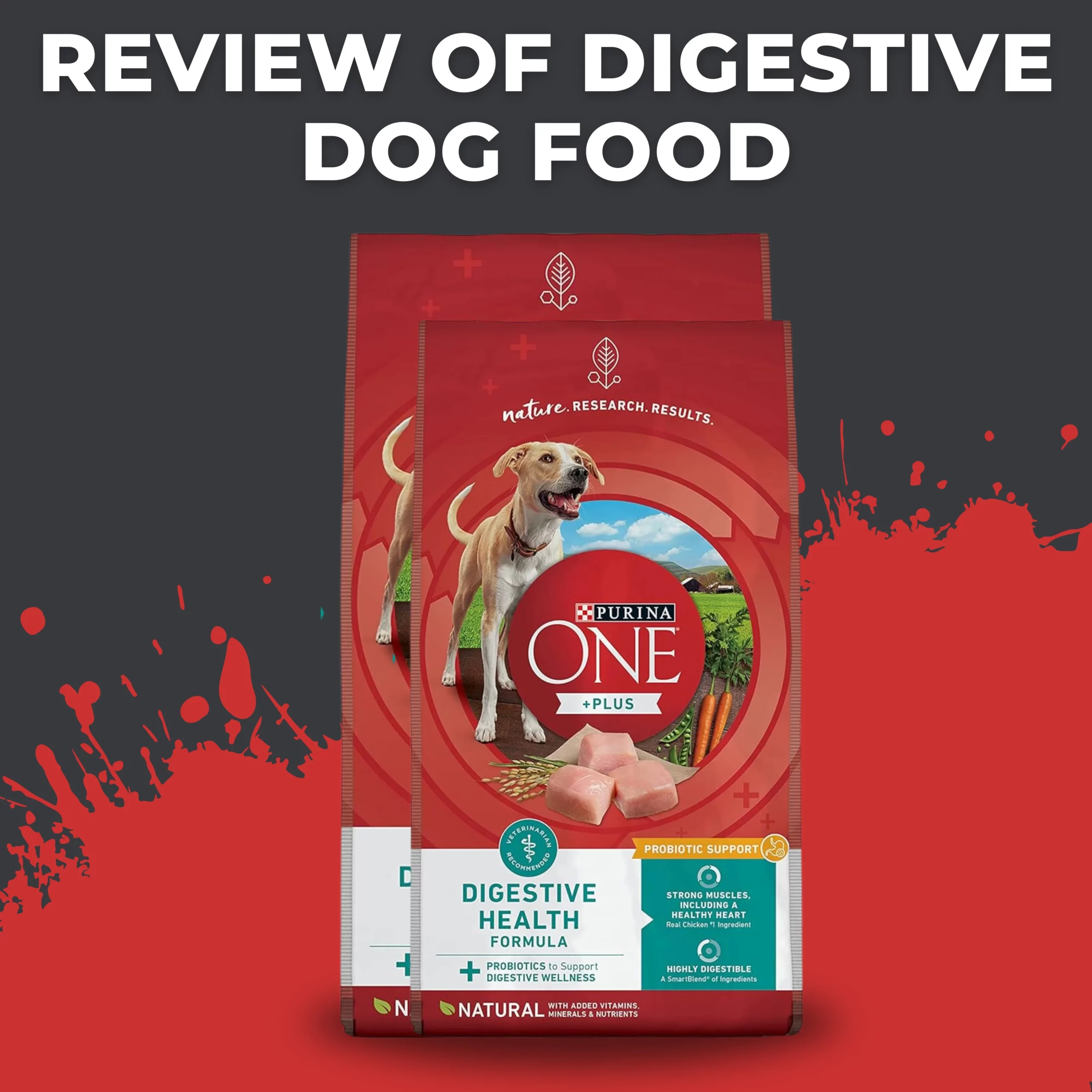 Digestive Dog Food
