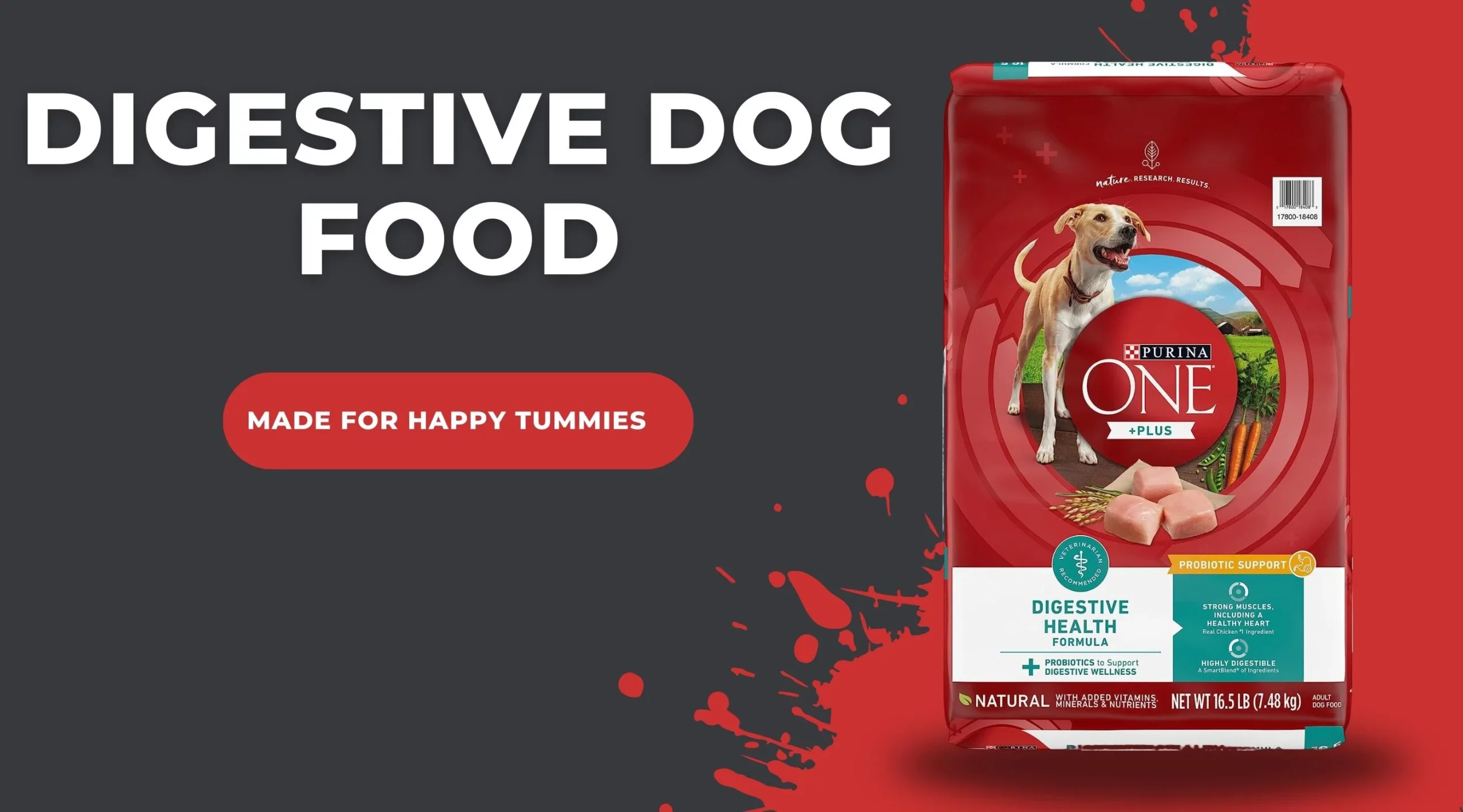 Digestive Dog Food