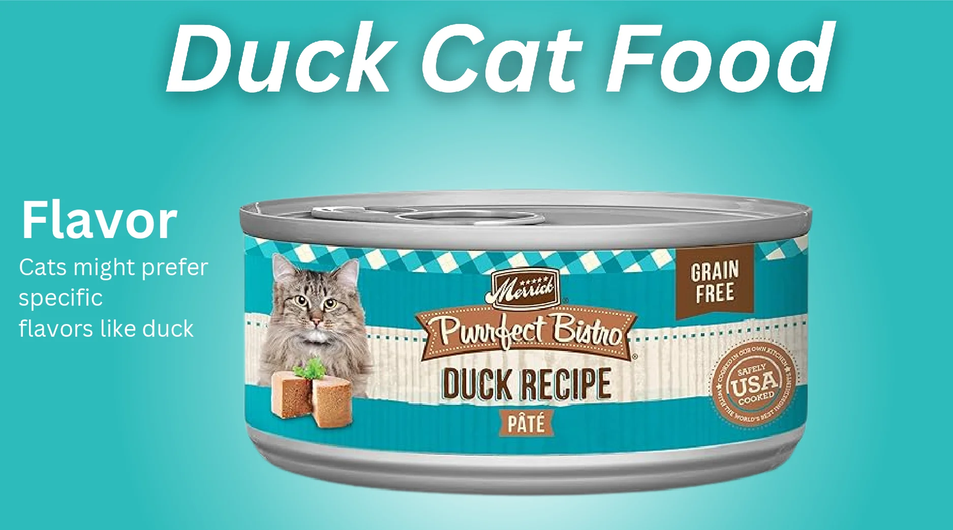 Duck Cat Food