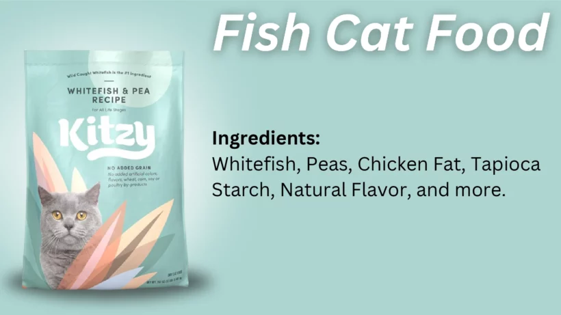 Fish Cat Food