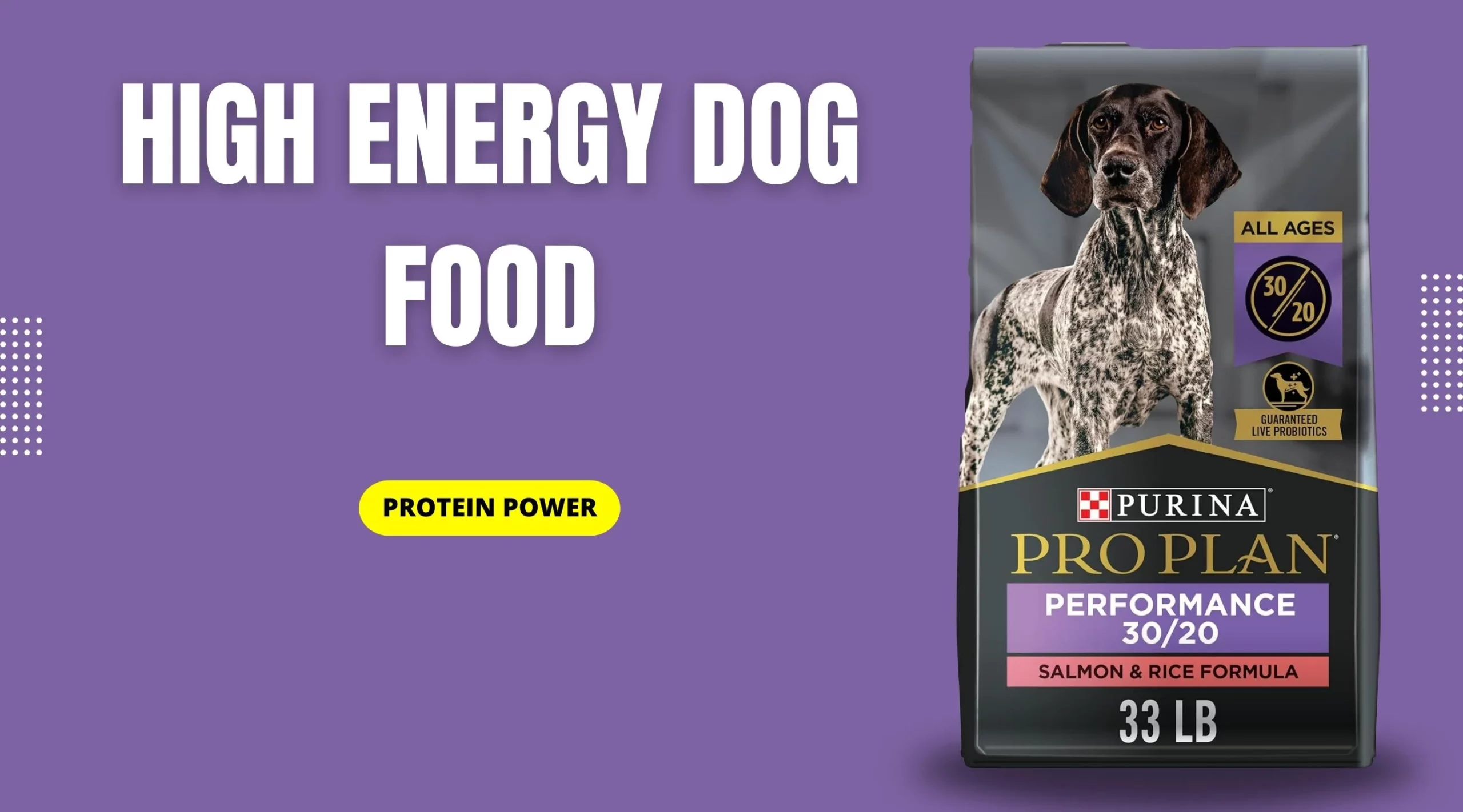 High Energy Dog Food