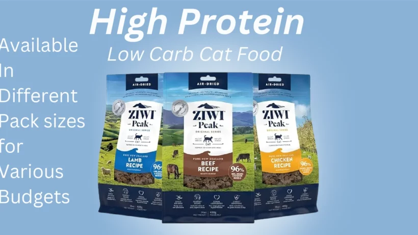 High Protein Low Carb Cat Food