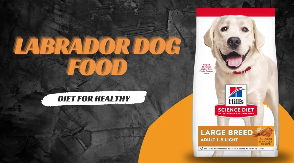 Labrador Dog Food: Hill’s Science Diet for Healthy Weight