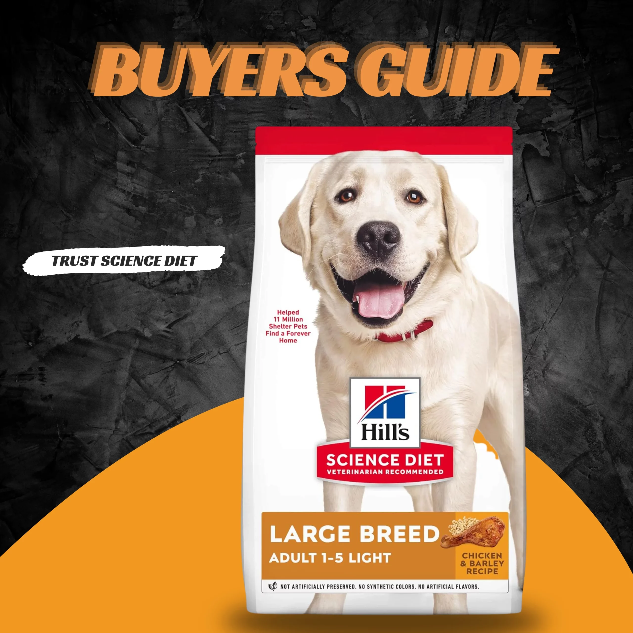 best dog food for labradors