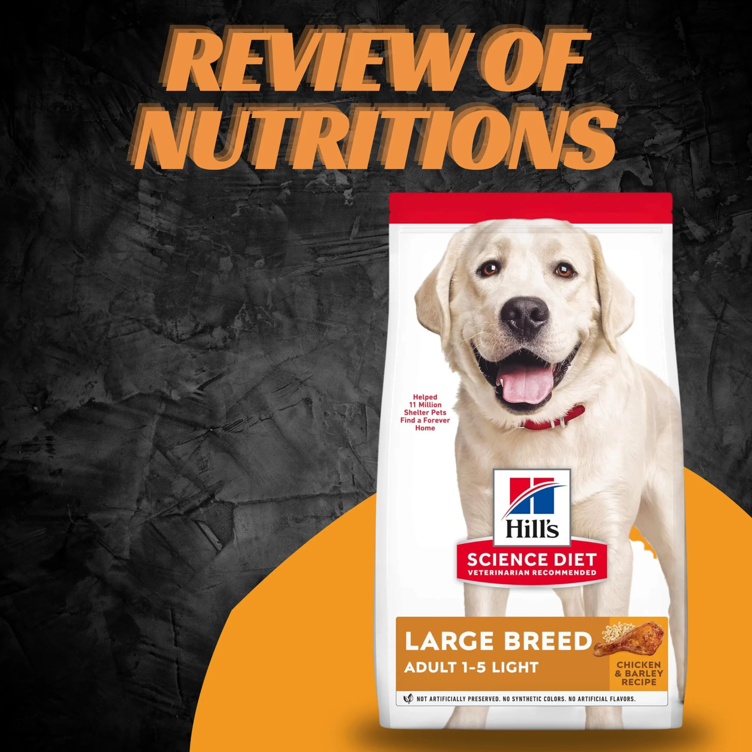 best dog food for labs