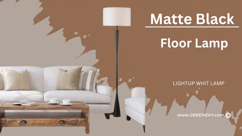 Matte Black Floor Lamp
