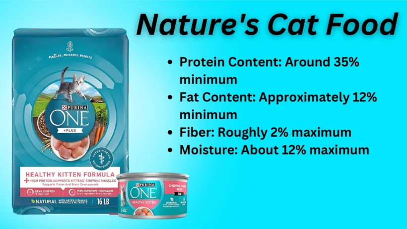 Nature's Cat Food