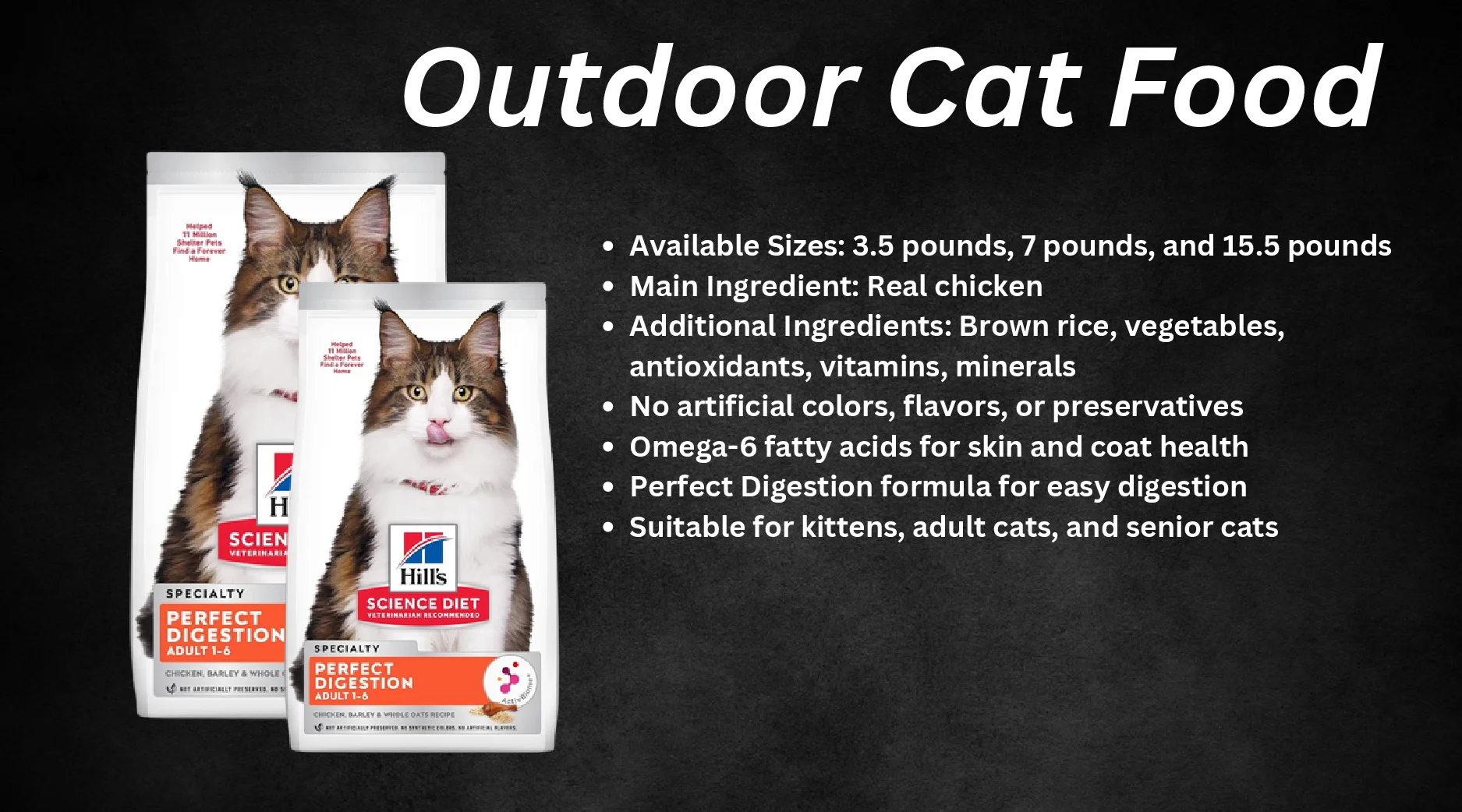 Outdoor Cat Food