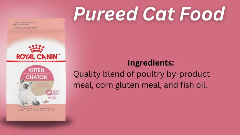 Pureed Cat Food