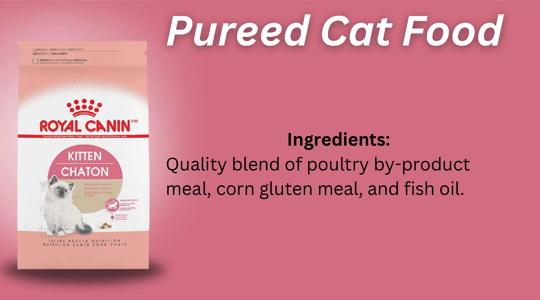 Pureed Cat Food