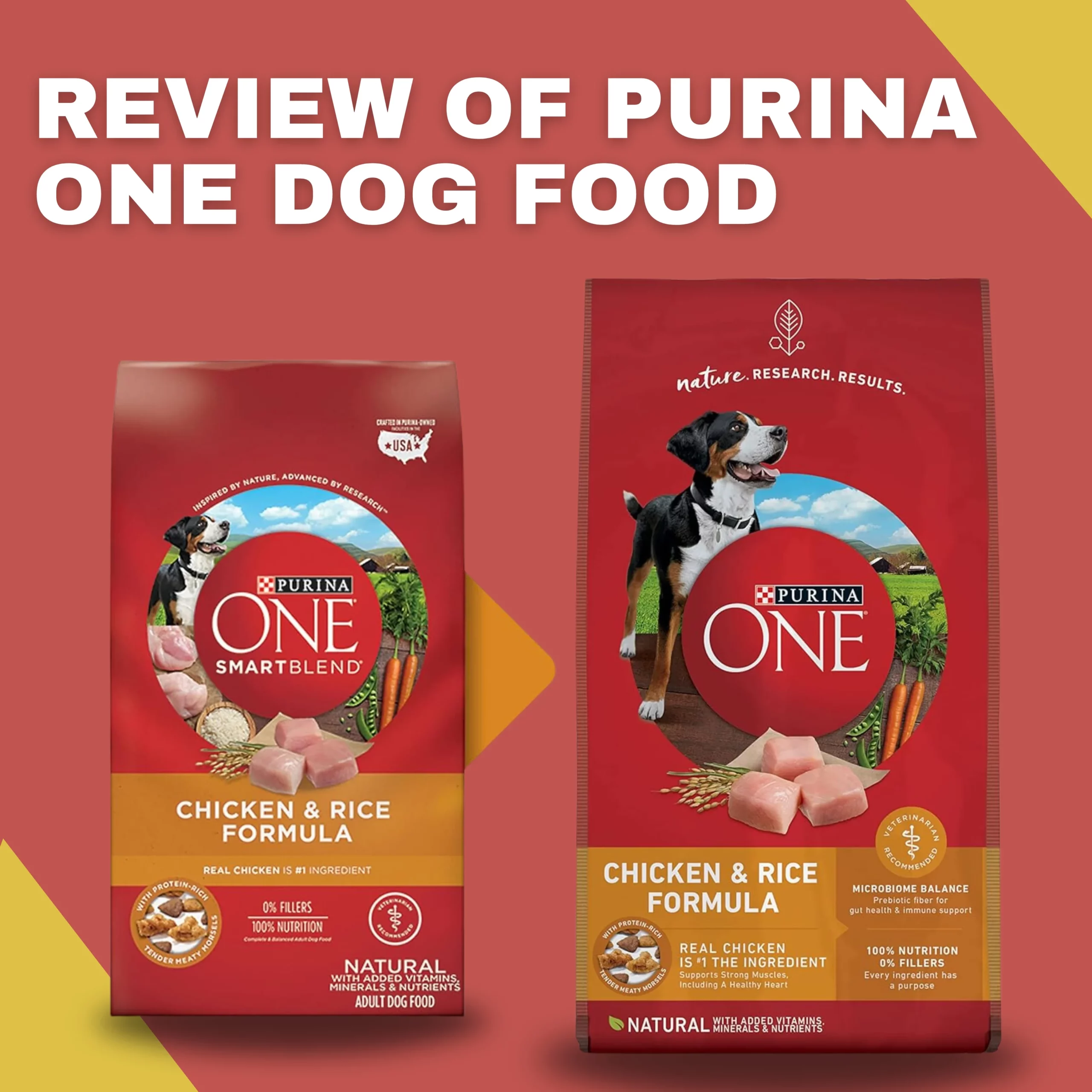 Purina One Dog Food