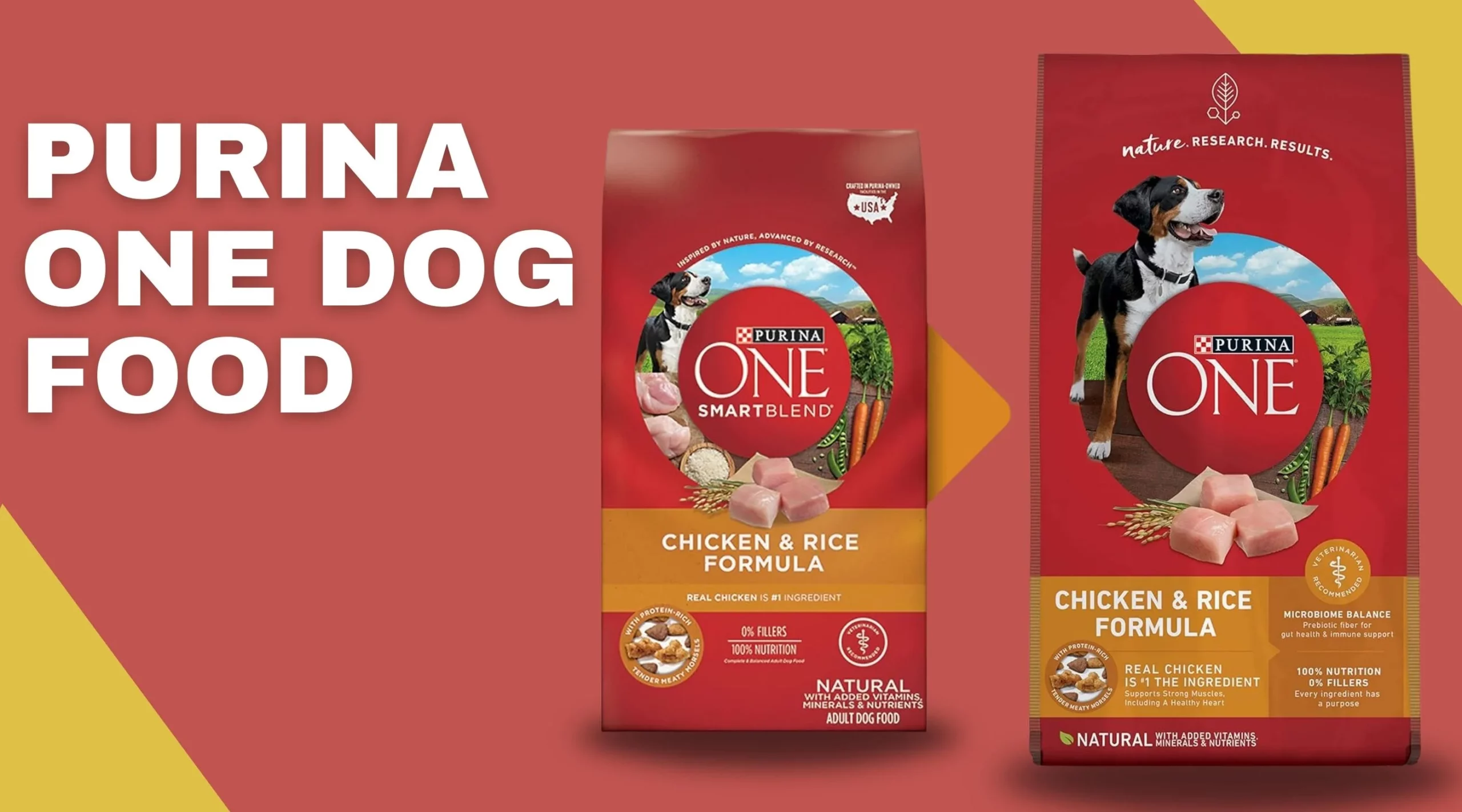 Purina One Dog Food