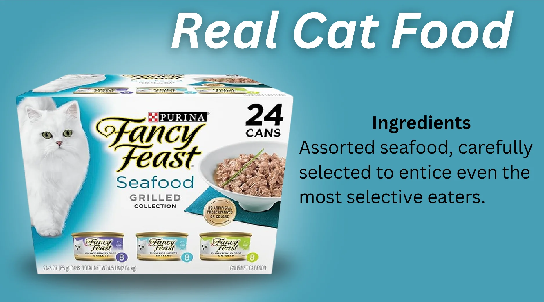 Real Cat Food