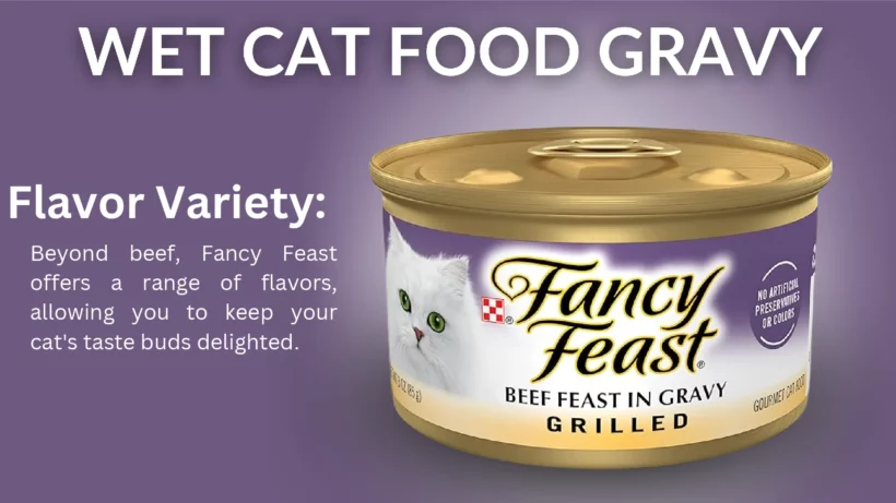 Wet Cat Food Gravy