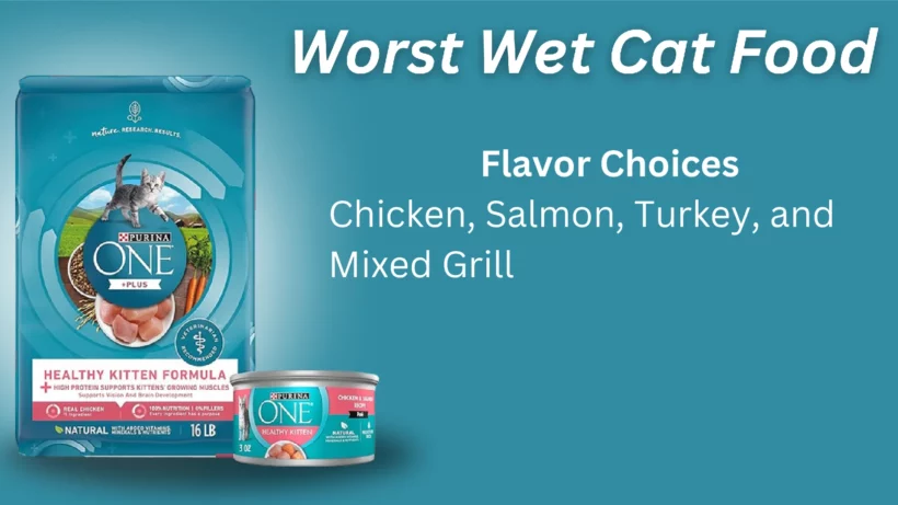 Worst Wet Cat Food