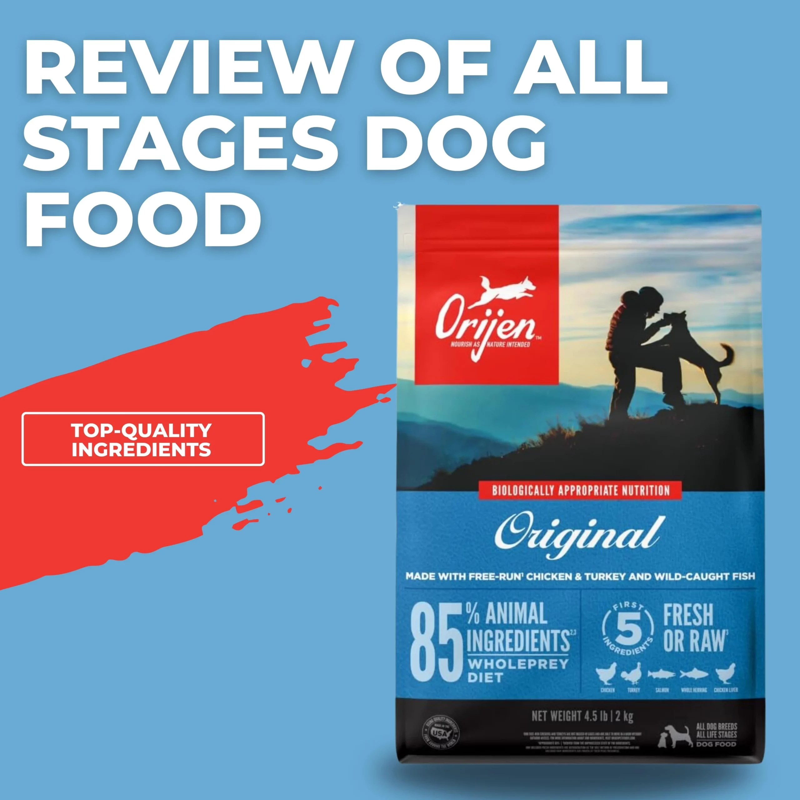 all stages dog food 