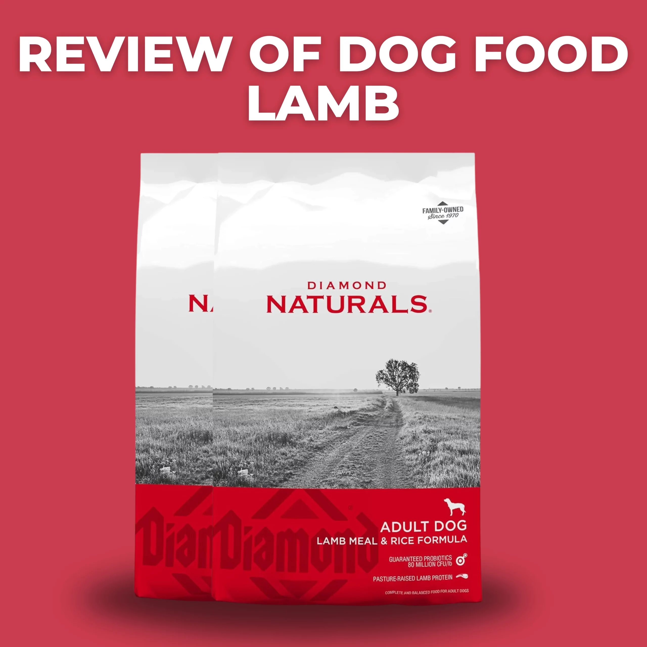 dog food lamb