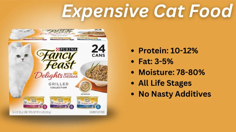 expensive cat food